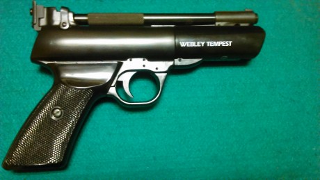 Vendo ésta gran pistola de aire comprimido y cal.5'5 en perfecto estado estético y mecánico, por no darle 00