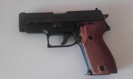 Pongo en venta magnifica pistola SIG SAGUER P225 en calibre 9mm Pb.
El arma esta guiada en F.
La acompañan 01
