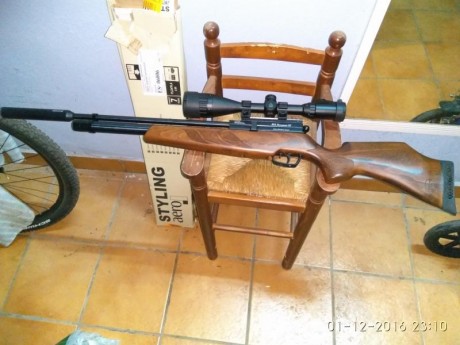 Hola ayer conseguí al final la bsa bucaaneer se en 5.5 tras muchos consejos. Tiene visor leapers 4-16x50 00