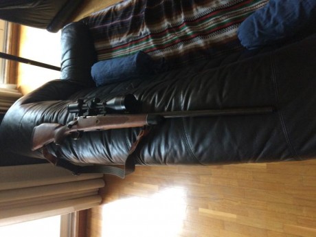 Bueno pues comienzo contando que compre un rifle luger del calibre 375h&h a un conocido,esta persona 41