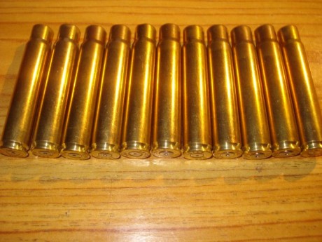 Hola Amigos,

Pongo a la venta un lote de unas 200 vainas DAG del 9,3X62 con un solo tiro y pasadas por 00