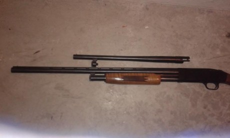 Vendo escopeta mossberg con dos cañones impecables por 400 euros.cuando  pueda pongo las fotos 40