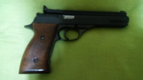 VENDO ASTRA TS22 POR ABANDONAR LA MODALIDAD.
LLEVA CARGADOR DE 10 BALAS.
CACHA DE MADERA.
INTERESADOS 01