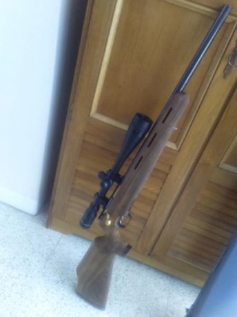 Saludos

Visto el poco uso que le doy, cambio o vendo éste excelente rifle de precisión HW 66 JAGD-MATCH 02