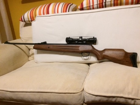 Vendo hatsan 135 cal 6.35 , nueva en su caja , com visor gamo 3x42 WR por 160 euros y entrego en mano. 00