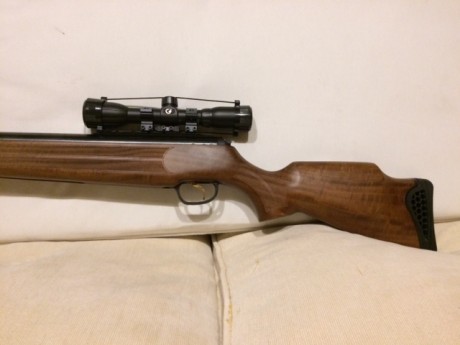 Vendo hatsan 135 cal 6.35 , nueva en su caja , com visor gamo 3x42 WR por 160 euros y entrego en mano. 11