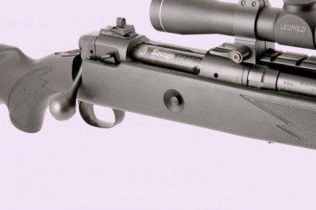 Rifle Marca Savage,  Modelo Scout,  Calibre 308, stock sintético, Visor Leupold Gold Ring de 2,75 aumentos 00
