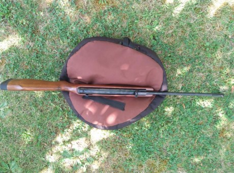 Vendo dos carabinas, una Gamo CFR whisper igt cal.4,5 en maletín Flambeau y una BSA supersport cal. 6,35 60