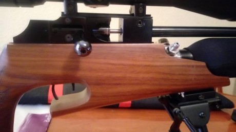 Vendo theoben MK2 Rapid en muy buen estado cal 5,5 ,no tiene regulador pero tiene muy buena precision 21