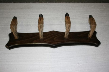 Cambiaria perchero de patas de corzo totalmente naturalizado y muy resistente por unos dies del 308w o 00