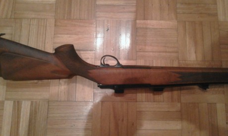 Rifle Sako Forester L579, calibre 243 Win., maderas al aceite, bases Apel.
No estoy interesado en cambios, 00