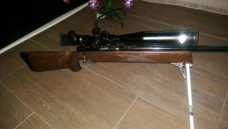 Cambio estupenda carabina por pcp bullpup, preferiblemente con bomba, la carabina esta muy bien, se regala 10