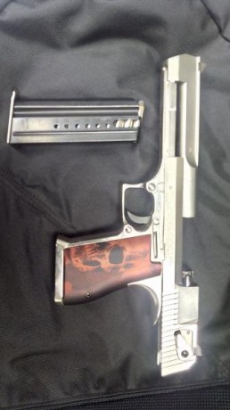 Hola:

Vendo Desert Eagle 357 Magnum con 2 cargadores, funda de cuero marrón Magnum Research y funda de 02