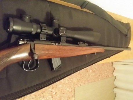 Hola vendo una carabina CZ del 22 con visor  y tres cargadores.
No se el modelo exacto de la carabina 01