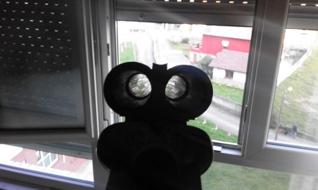 Escopeta Erbi, calibre 12/70, cañones de 71 ctms., chokes  * y ***, muy buen estado general, perfecta 122