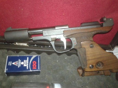 vedo 01