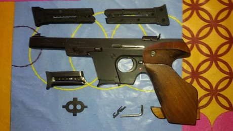 Walther gsp 22lr, cacha sin masillas talla M, dos cargadores de 5 balas, 2 cargadores de 10 balas, dos 01