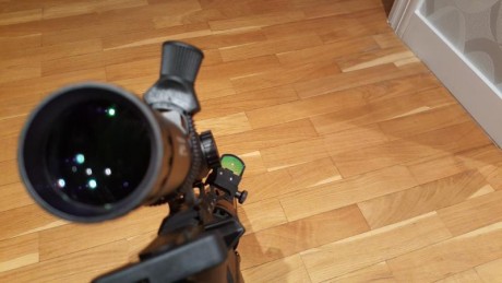 ¿Me recomendariais un Visor para colocar en la Carabina para MINI IPSC?

Dispongo ya de un Punto Rojo, 71