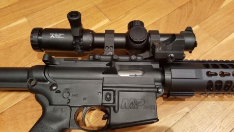 ¿Me recomendariais un Visor para colocar en la Carabina para MINI IPSC?

Dispongo ya de un Punto Rojo, 70