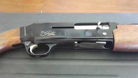 Características:

Escopeta semiautomática
Marca: FN Browning
Modelo: Gold Hunter
Cal. 12
Polichoques intercambiables 02