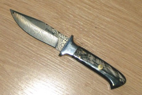 tardes.

 Vendo en Madrid Cuchillo de Acero Damasco de la conocida marca DANIO (Paquistán).  

Esta completamente 00
