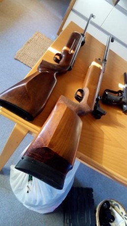 Hola pongo a la venta un conjunto de clàsicas de walther compuesto por:
 Walther lg53 en muy buen estado 02