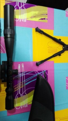 Pues lo dicho el un bsa 4-16x40 con monturas 100€
Walter 8-32x56 con monturas 130€
Vipode 20€ 01