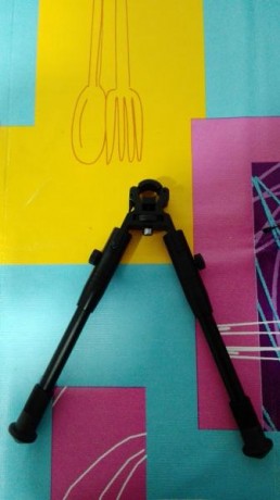 Pues lo dicho el un bsa 4-16x40 con monturas 100€
Walter 8-32x56 con monturas 130€
Vipode 20€ 00