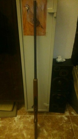 Escopeta marlin calibre 12 magnum

Vendo escopeta Marlin calibre 12 recamara mágnum de cerrojo, dispara 01