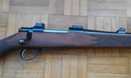 Rifle Sako Forester L579, calibre 243 Win., maderas al aceite, bases Apel.
No estoy interesado en cambios, 91