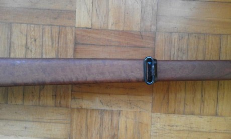 Rifle Sako Forester L579, calibre 243 Win., maderas al aceite, bases Apel.
No estoy interesado en cambios, 111