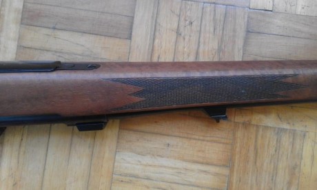 Rifle Sako Forester L579, calibre 243 Win., maderas al aceite, bases Apel.
No estoy interesado en cambios, 120