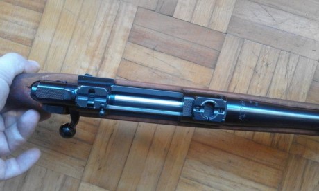 Rifle Sako Forester L579, calibre 243 Win., maderas al aceite, bases Apel.
No estoy interesado en cambios, 142