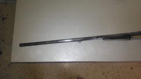 cambio escopeta de intermedio del siglo 19 por carabina del 4,5 por zona de valencia 02