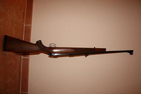 Cambio rifle de cerrojo Tikka modelo M65 en calibre 300wmg, por rifle semiautomatico Browing.
El rifle 31