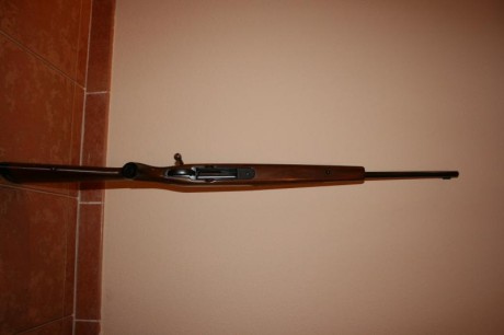 Cambio rifle de cerrojo Tikka modelo M65 en calibre 300wmg, por rifle semiautomatico Browing.
El rifle 30