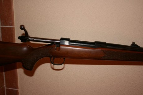 Cambio rifle de cerrojo Tikka modelo M65 en calibre 300wmg, por rifle semiautomatico Browing.
El rifle 40