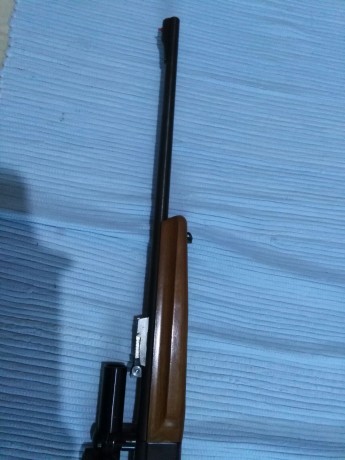 PUES ESO UN AMIGO PONE A LA VENTA UNA CARABINA MAROCCHI CON VISOR CON CARGADOR DE 15 DISPAROS 
PRECIO 02