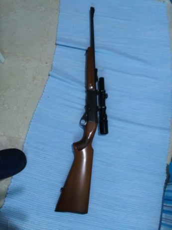 PUES ESO UN AMIGO PONE A LA VENTA UNA CARABINA MAROCCHI CON VISOR CON CARGADOR DE 15 DISPAROS 
PRECIO 01