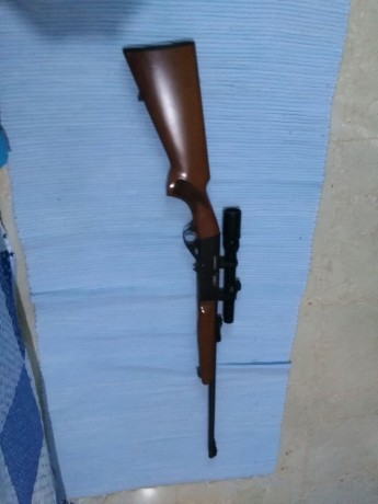 PUES ESO UN AMIGO PONE A LA VENTA UNA CARABINA MAROCCHI CON VISOR CON CARGADOR DE 15 DISPAROS 
PRECIO 11