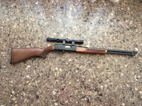 Carabina marca Winchester, calibre 22 largo, modelo 190, carga de varilla, 16 disparos, con mira telescópica 02