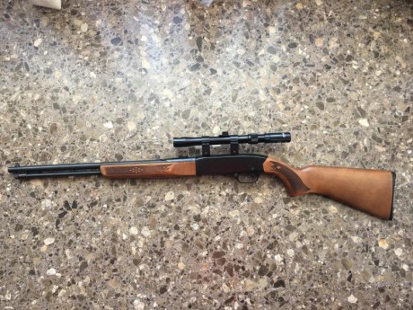 Carabina marca Winchester, calibre 22 largo, modelo 190, carga de varilla, 16 disparos, con mira telescópica 01