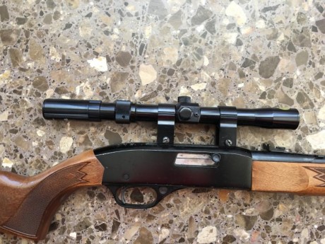 Carabina marca Winchester, calibre 22 largo, modelo 190, carga de varilla, 16 disparos, con mira telescópica 00