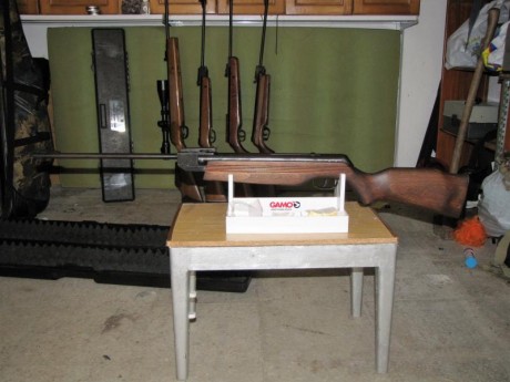 vendo gamo 900 del 4,5. incluido envío  65 euros. IMG_0930.JPG  00