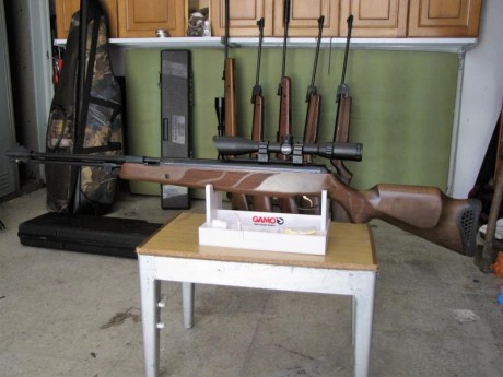 vendo hatsan torpedo, del 4,5. con visor leapers 3x9x50 mildot. precio 220 euros con portes incuidos, 01