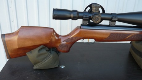 Hola.
Estoy intentando vender algunas de las armas de aire comprimido, que tengo. Es el caso de esta HW97K 01
