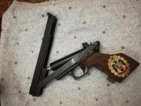 Hola a todos/as, cambio pistola gamo compac del 4'5 por carabina del 5'5, me gustaría que fuera de sistema 00