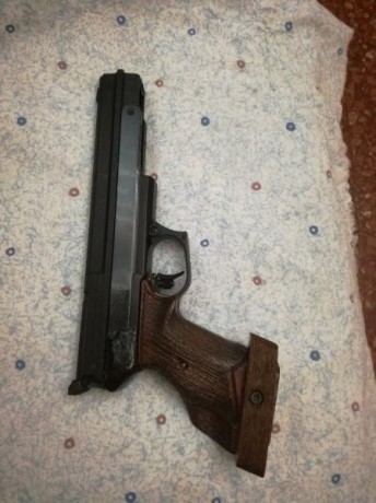 Hola a todos/as, cambio pistola gamo compac del 4'5 por carabina del 5'5, me gustaría que fuera de sistema 10
