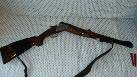 Vendo rifle Express Fabarm modelo Asper Cal.9'3x74R en perfecto estado, con los siguientes complementos:

-Funda 01
