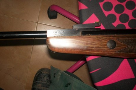 vendo norica marvic gold cal 4.5,en perfecto estado de funcionamiento,con mucha potencia,no puedo decir 00